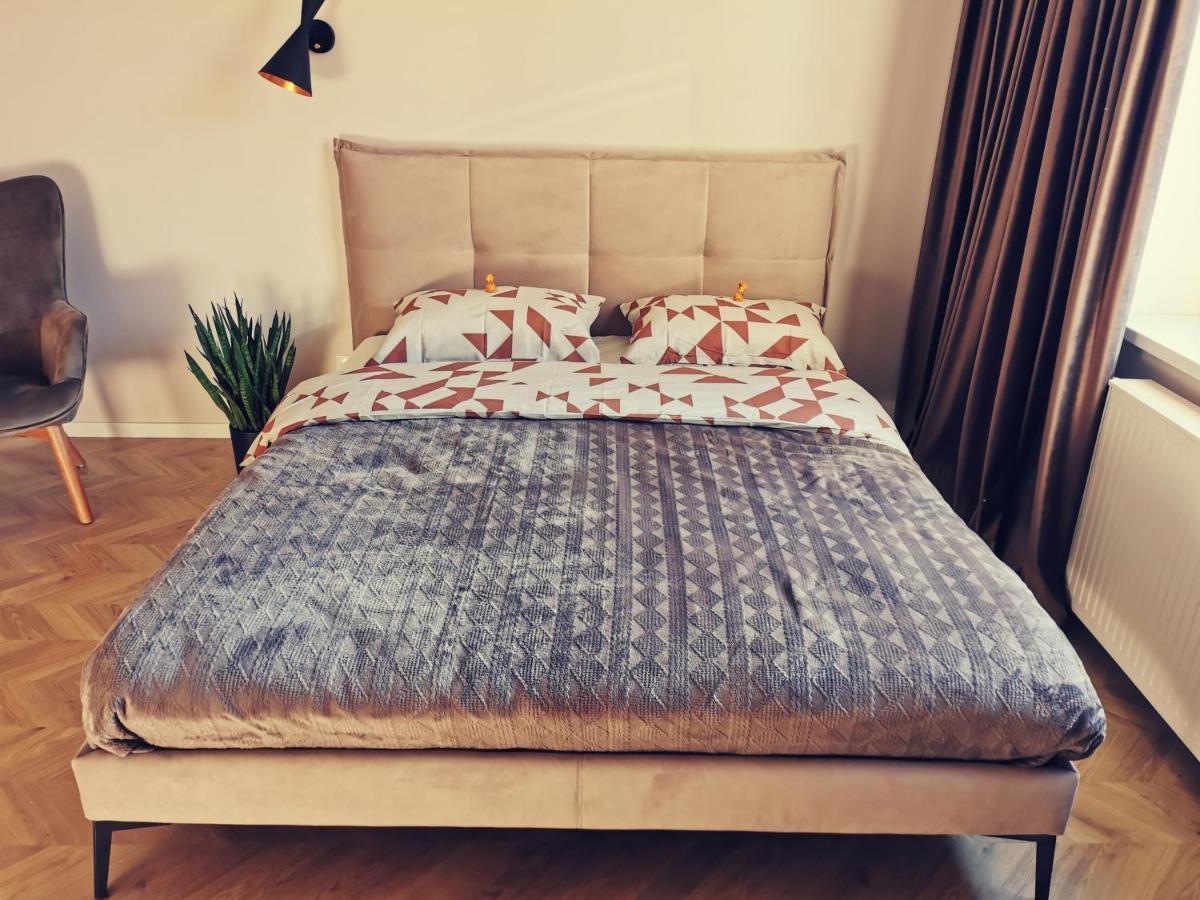 Cosy Old Town Apartment 克莱佩达 外观 照片