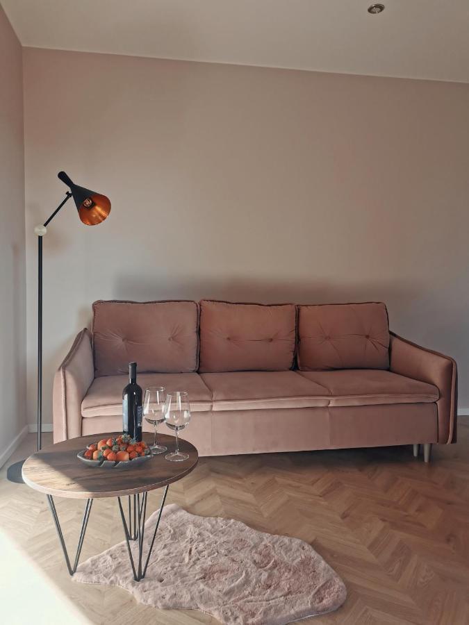 Cosy Old Town Apartment 克莱佩达 外观 照片