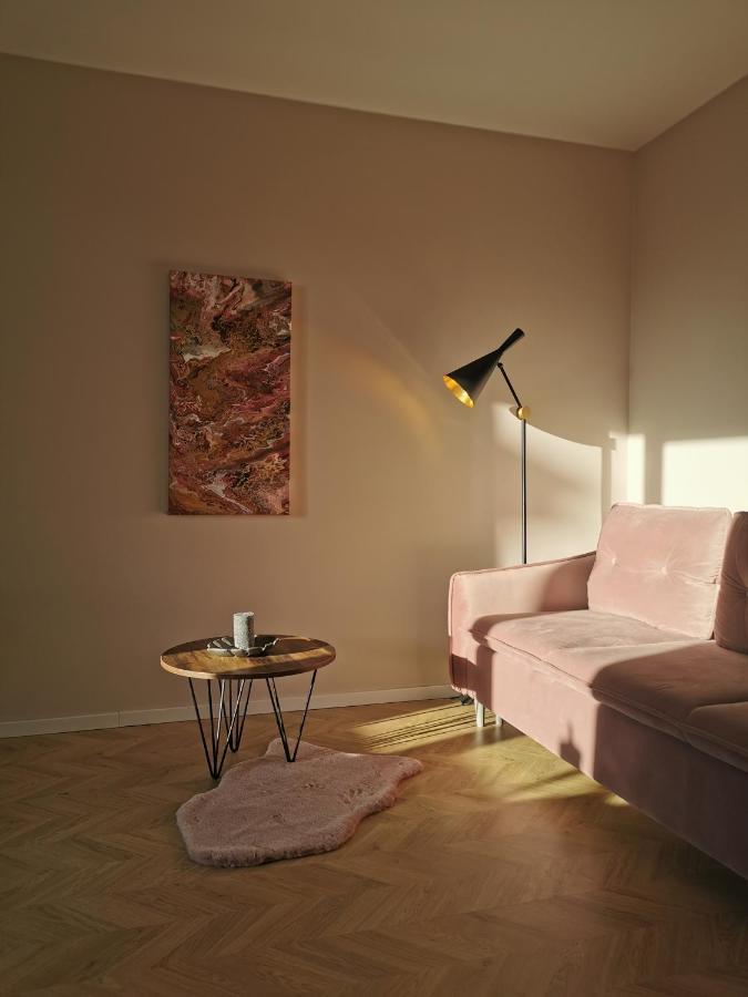Cosy Old Town Apartment 克莱佩达 外观 照片