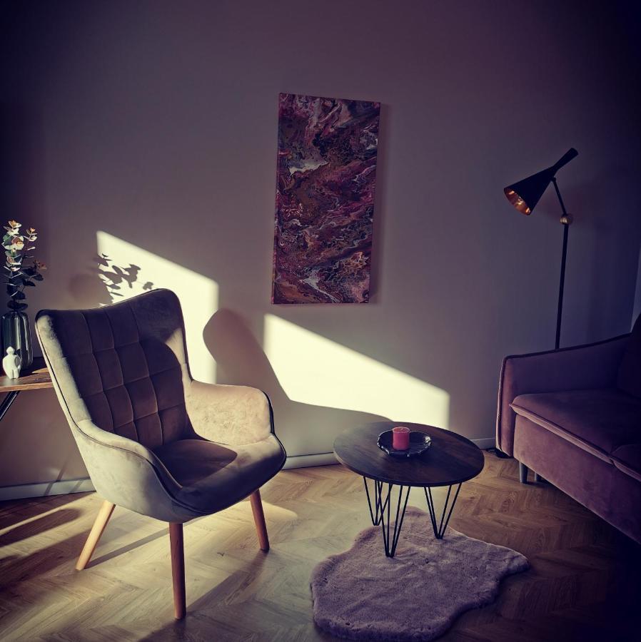 Cosy Old Town Apartment 克莱佩达 外观 照片