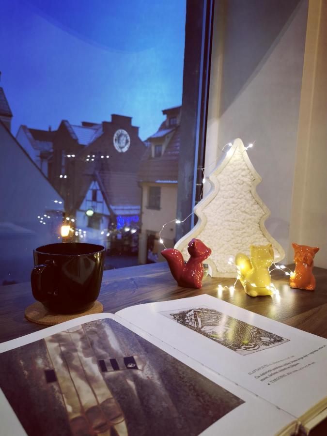 Cosy Old Town Apartment 克莱佩达 外观 照片